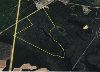 Affordable Hunting Tract in Chocowinity, NC – 119 AC